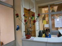 /album/ja-e-natal-na-minha-escola-agrupamento-de-escolas-poeta-joaquim-serra-natal-2012-prof-ana-teresa-sousa/pc060056-jpg/